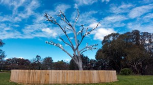 ANU Public Art: Dadang Christanto.  Witness, 2004