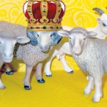 crown-sheep