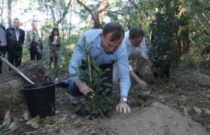 GREEN ARMY INITIATIVE LAUNCH